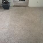 After- Carpet Cleaning
