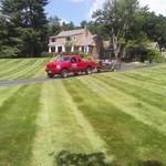 We mow estates!