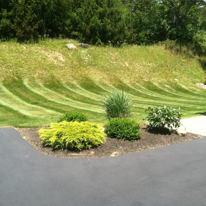 Want your lawn to look like this?