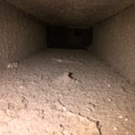 Supply Pellnum