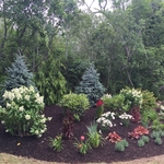 Installed Planting bed