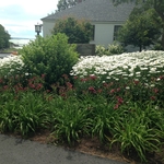 Center Planting Bed