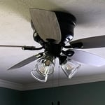 New fan
