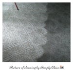 Carpet Cleaning