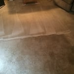 Carpet Cleaning