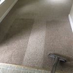 Carpet cleaning