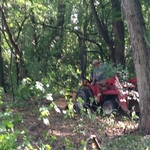 Lot clearing