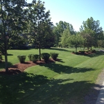 Grass cutting and lawn care