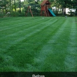 Mowing and maintenance