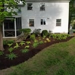 Mulch and Planting
