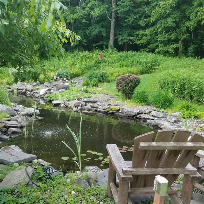 Hardscapes and Design