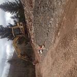 Start of wall