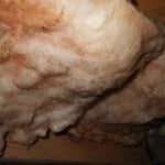 Crawl Space Insulation