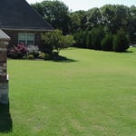 Lawn