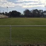 Turf Renovation