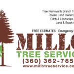 Tree Removal Service