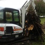 Brush cleanup