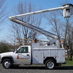 Limb Removal Longview Wa