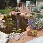 Water Feature and Landscape