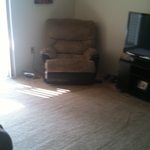 I clean this carpet of this picture