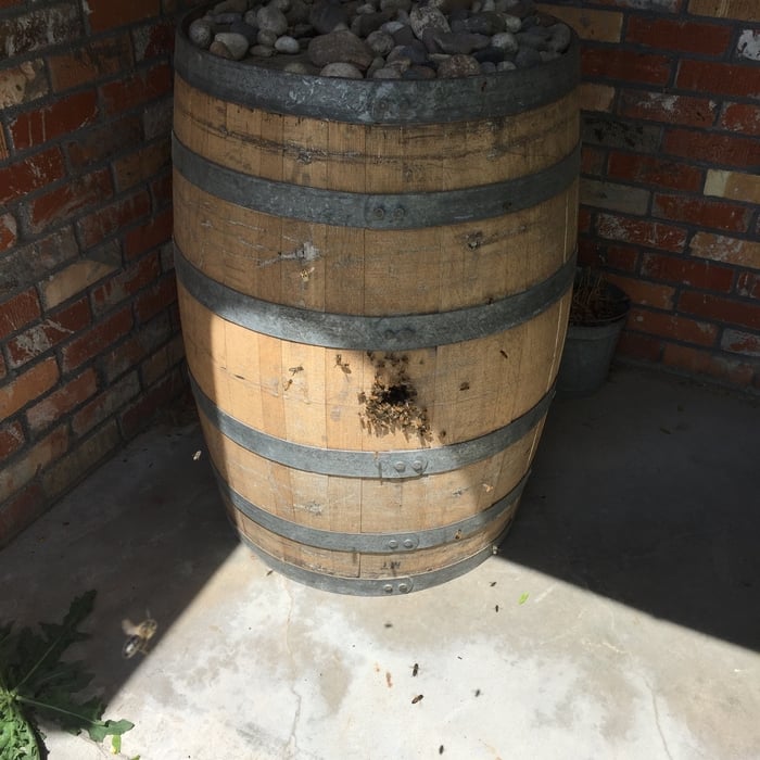 The wine barrel