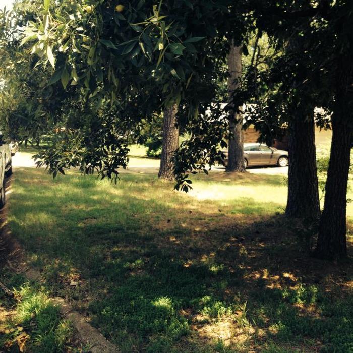 Road side