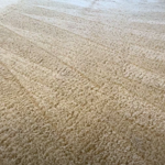 Clean Carpets