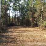 Lillian,Al.