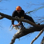 storm work