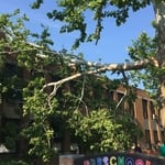 Storm damage