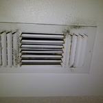 Mold Blows thru Vents