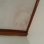 Ceiling Leaks