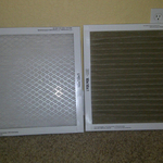Mold collects on Filters