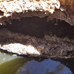 septic tank opening and divider wall