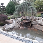 Roswell Pond 2