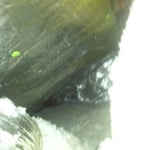 attic barrier