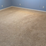 carpet cleaning