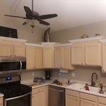 General pictures