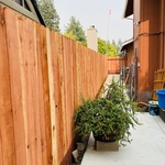 Redwood Dog Ear with Kicker