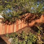 Redwood dog ear with a kicker