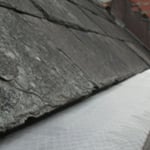 Double Screen Pine Needle