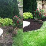 MULCH BEFORE AND AFTER