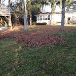 BLOWING LEAVES TO FRONT FOR REMOVAL