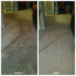 Carpet Cleaning