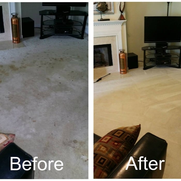 Carpet
