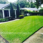 Property Maintenance