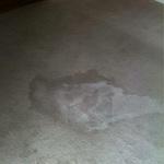Results of a party, vomit and food stains