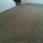 10 year carpet