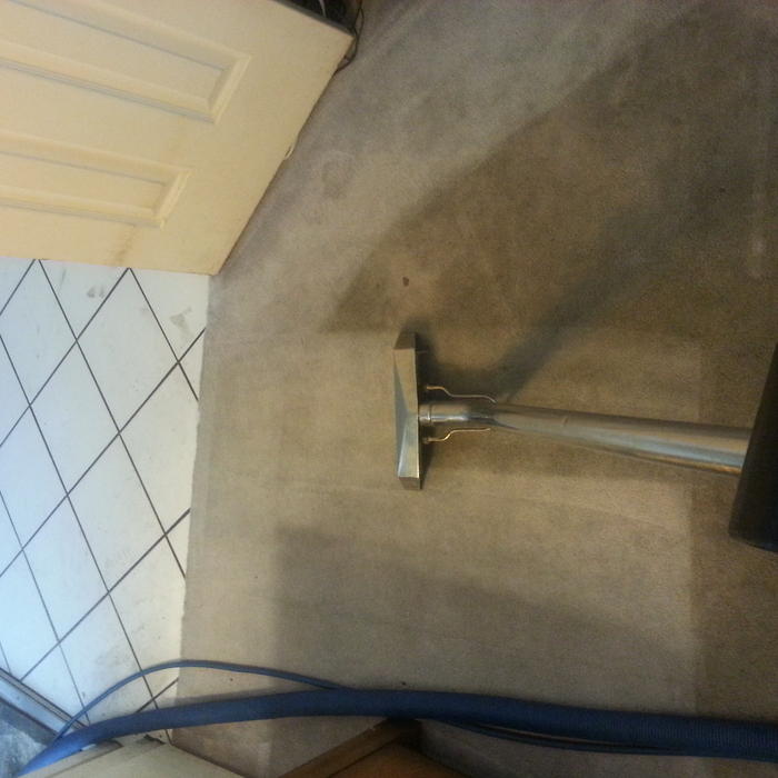 Carpet cleaning