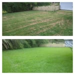 Before and After Lawn Pest Control Application